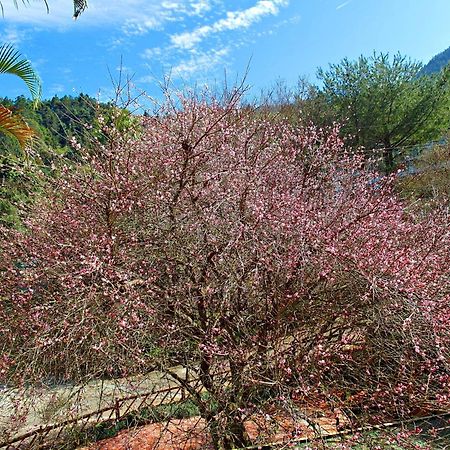 Li Jin Kuan Homestay Nanzhuang Εξωτερικό φωτογραφία