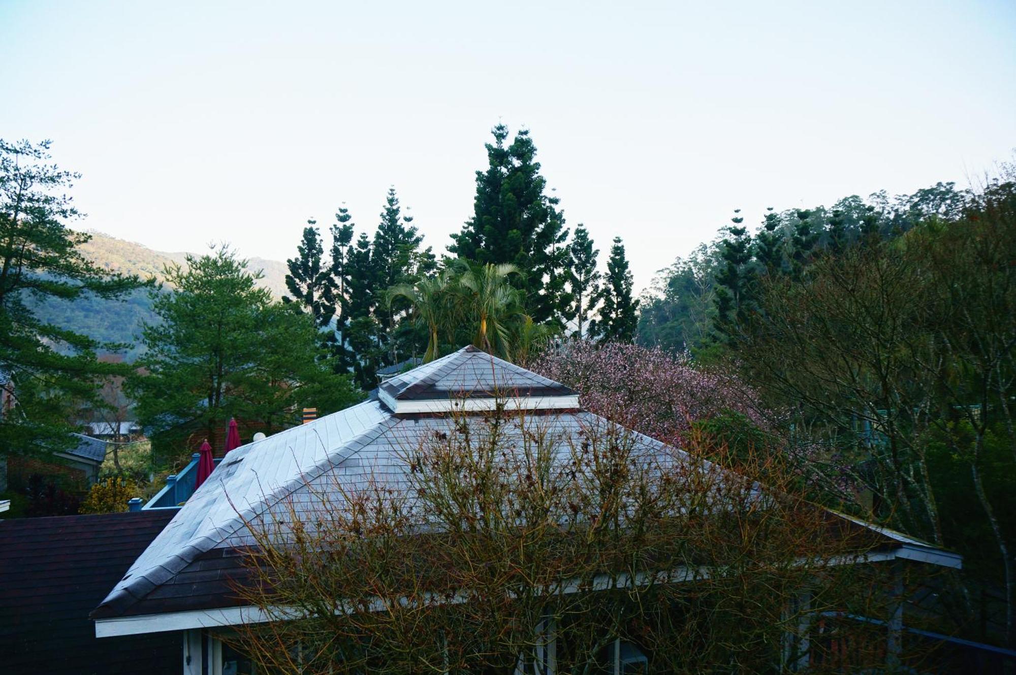 Li Jin Kuan Homestay Nanzhuang Εξωτερικό φωτογραφία