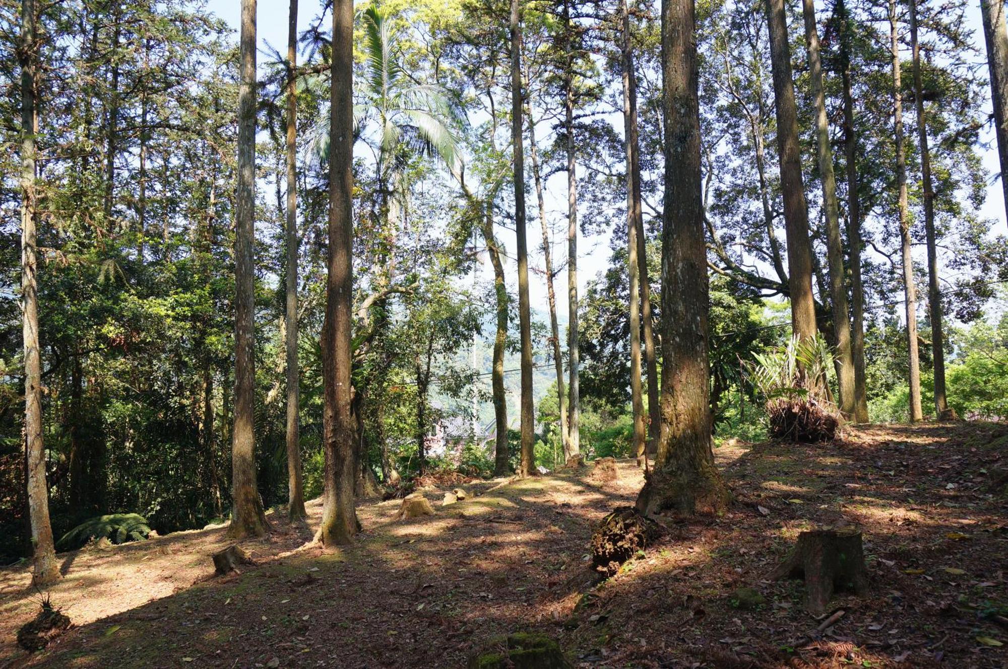 Li Jin Kuan Homestay Nanzhuang Εξωτερικό φωτογραφία