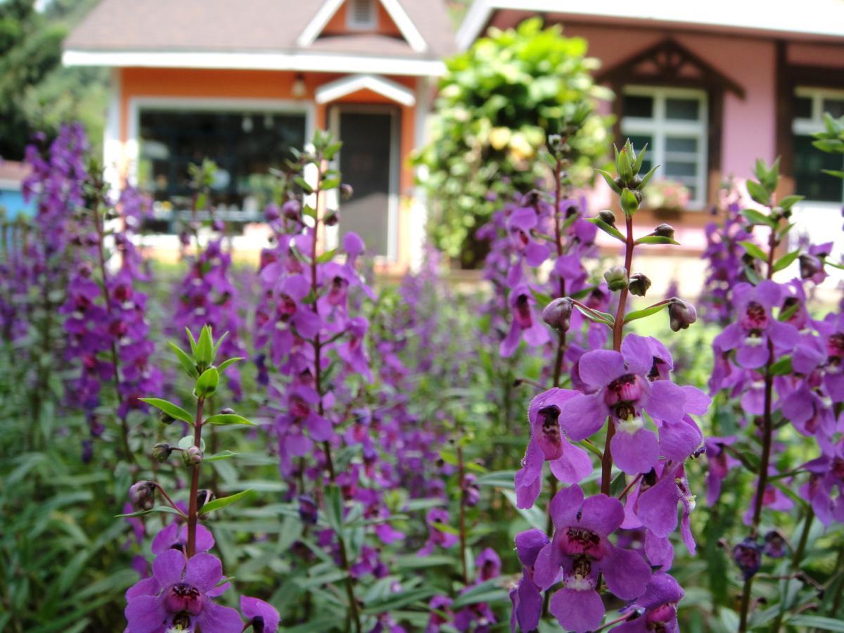 Li Jin Kuan Homestay Nanzhuang Εξωτερικό φωτογραφία